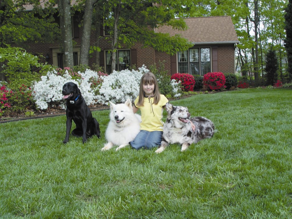 Contain-A-Pet Dog Fence